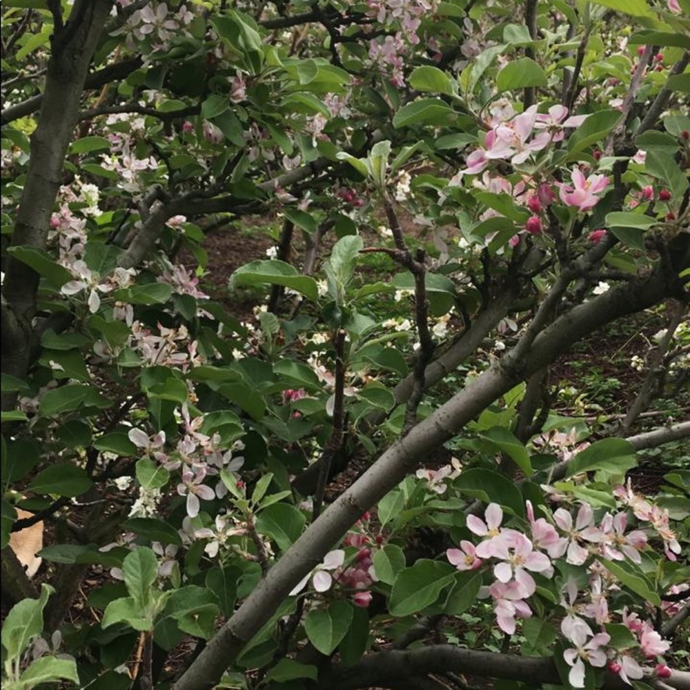 Meet your Posher, Lorena